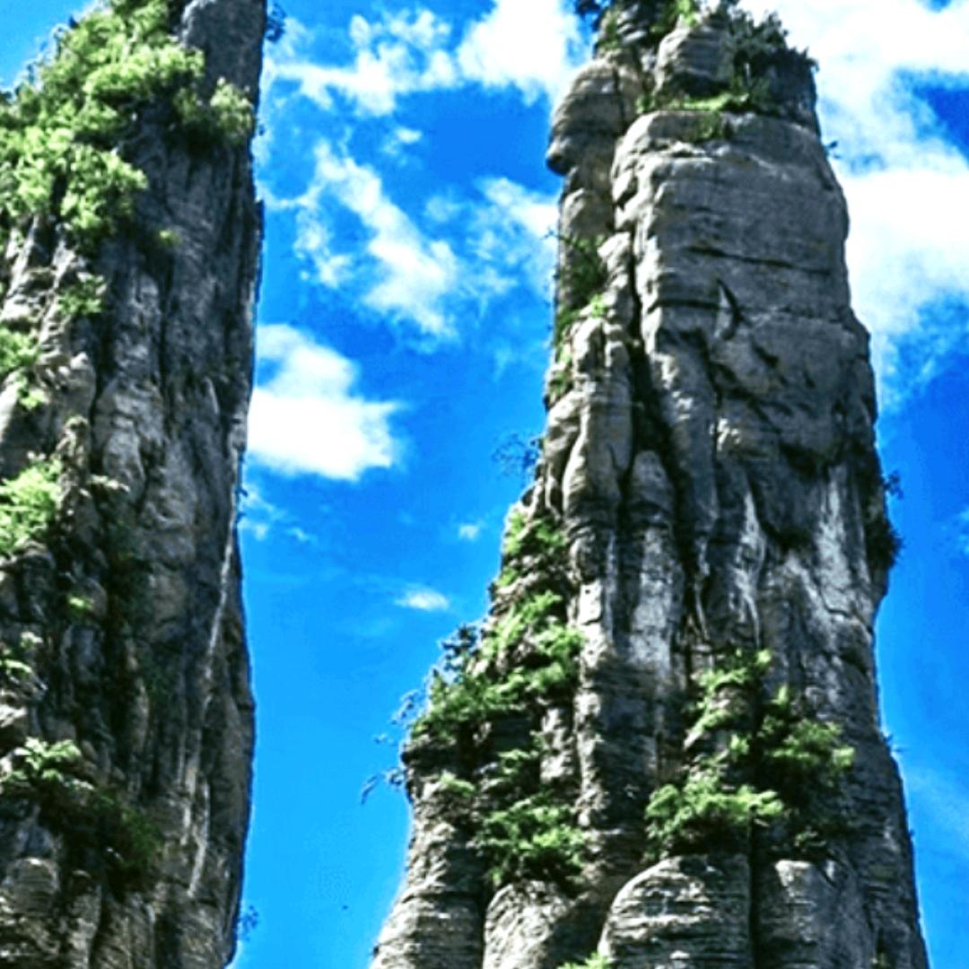 🦋ꦿ໊随心᭄而行ꦿᩚ٭