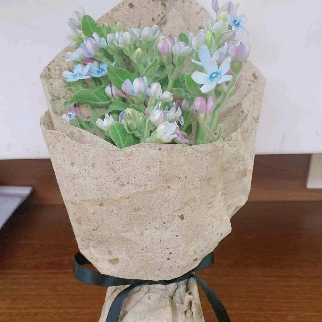 用户8211661870402
