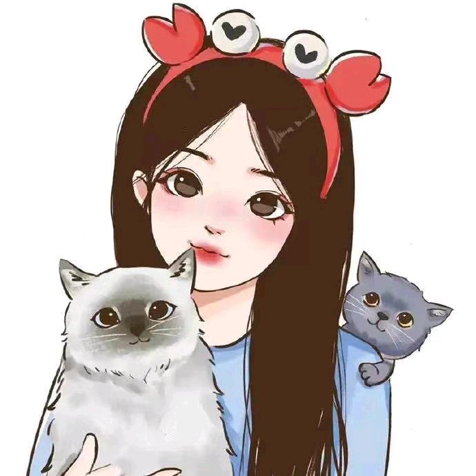 小喜宝