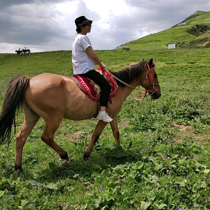 🍎🍎晓月❤️✊✊🌞🌞🌞