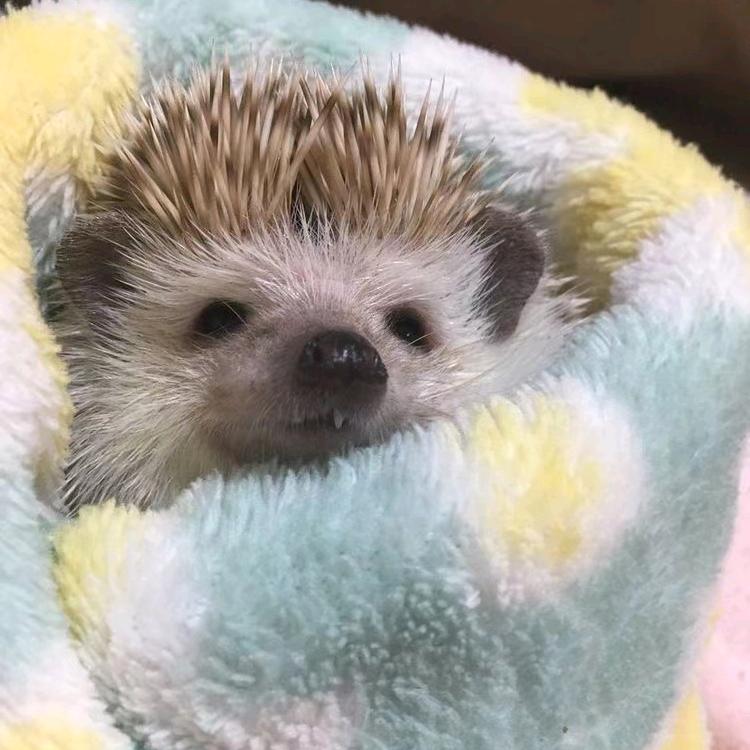 安❤️