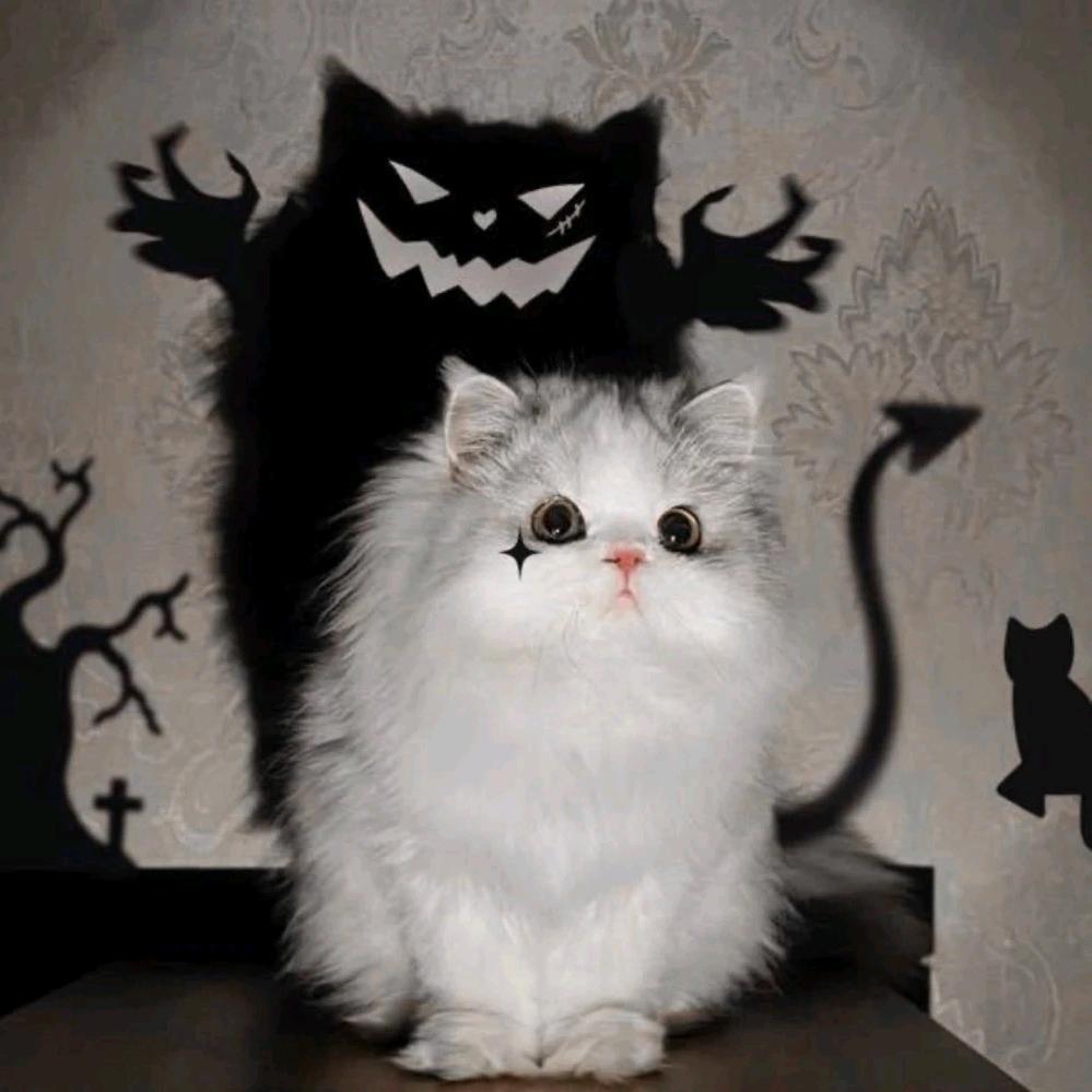 王者荣耀先天（国服雅典娜）