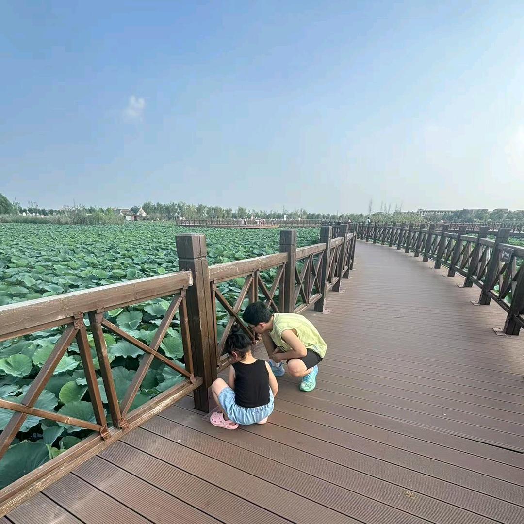 向日葵🌻🌻🌻