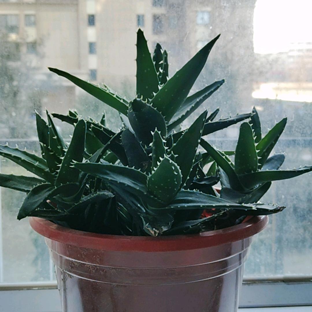 家有山水