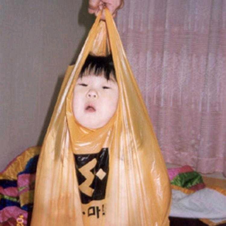 空尘🍭🪼（封）