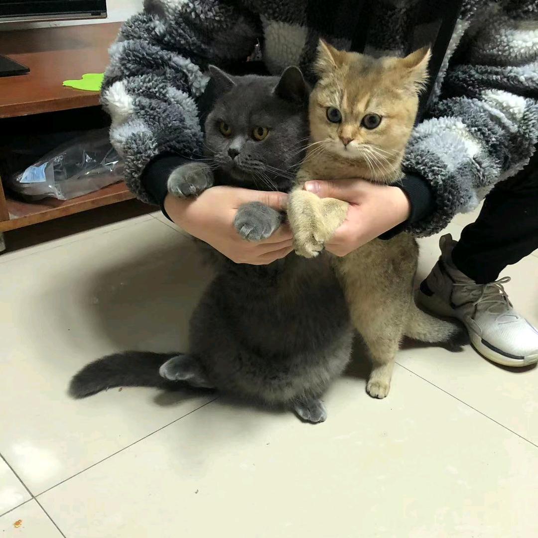 🌞机会留给有准备的人🌈🌈