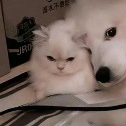 不想e'