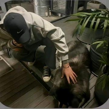 重生之在理想外包已干一年