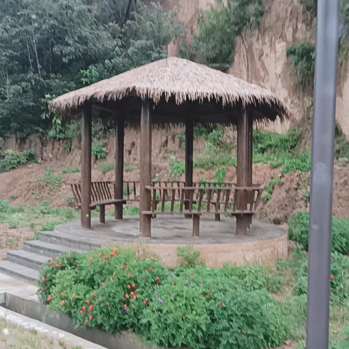 不离不弃