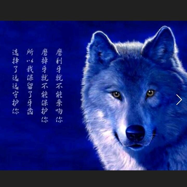 奋斗，一路向北