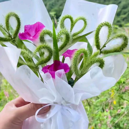 微风吹柳丝摇💞