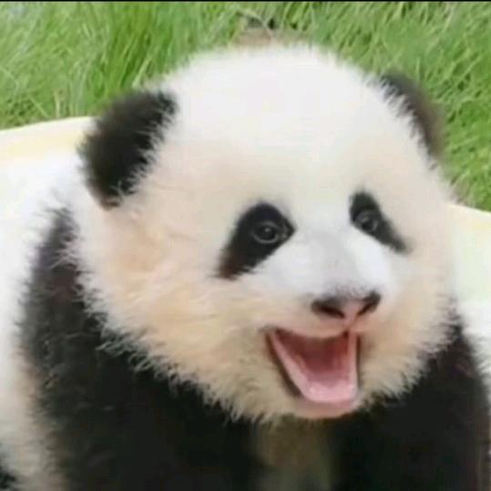 普通人何必为难普通人呢？