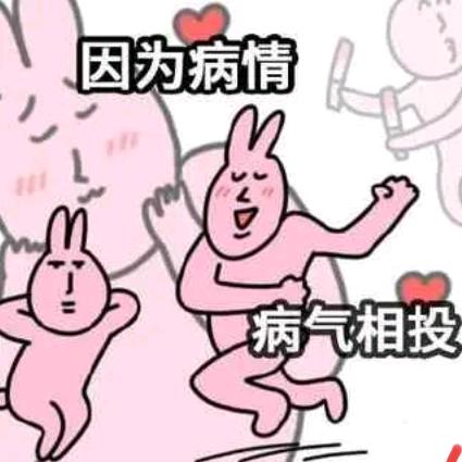 爱睡觉的小咪