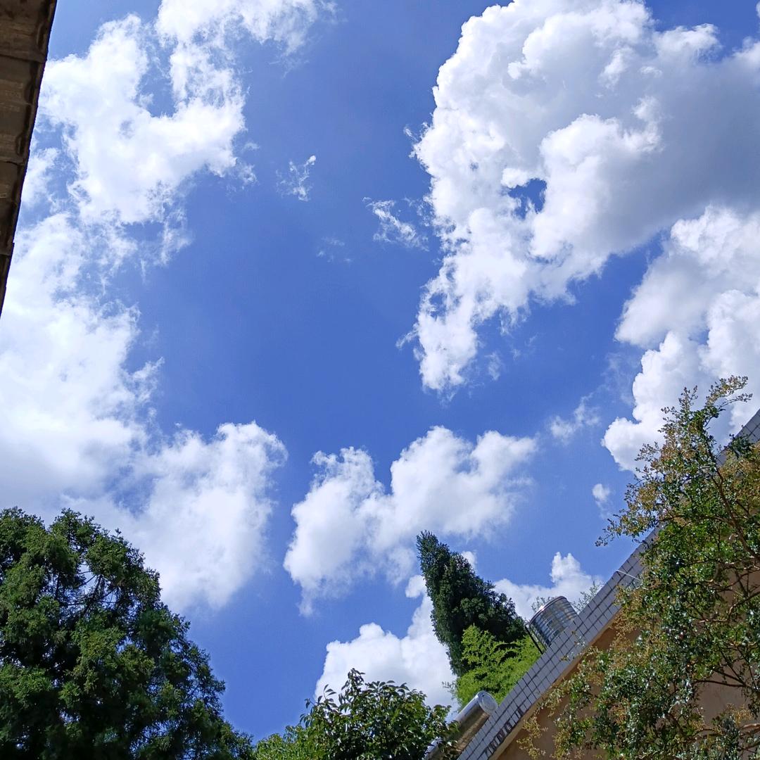 请相信相信的力量