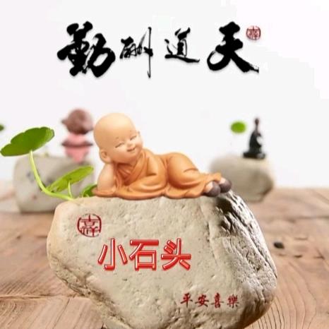 🇨🇳小石头