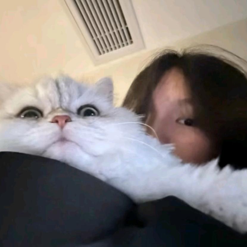 ﹉