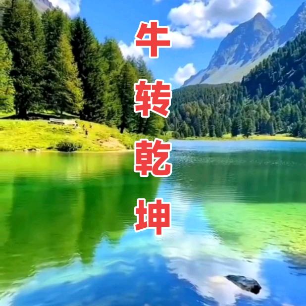 牛转乾坤