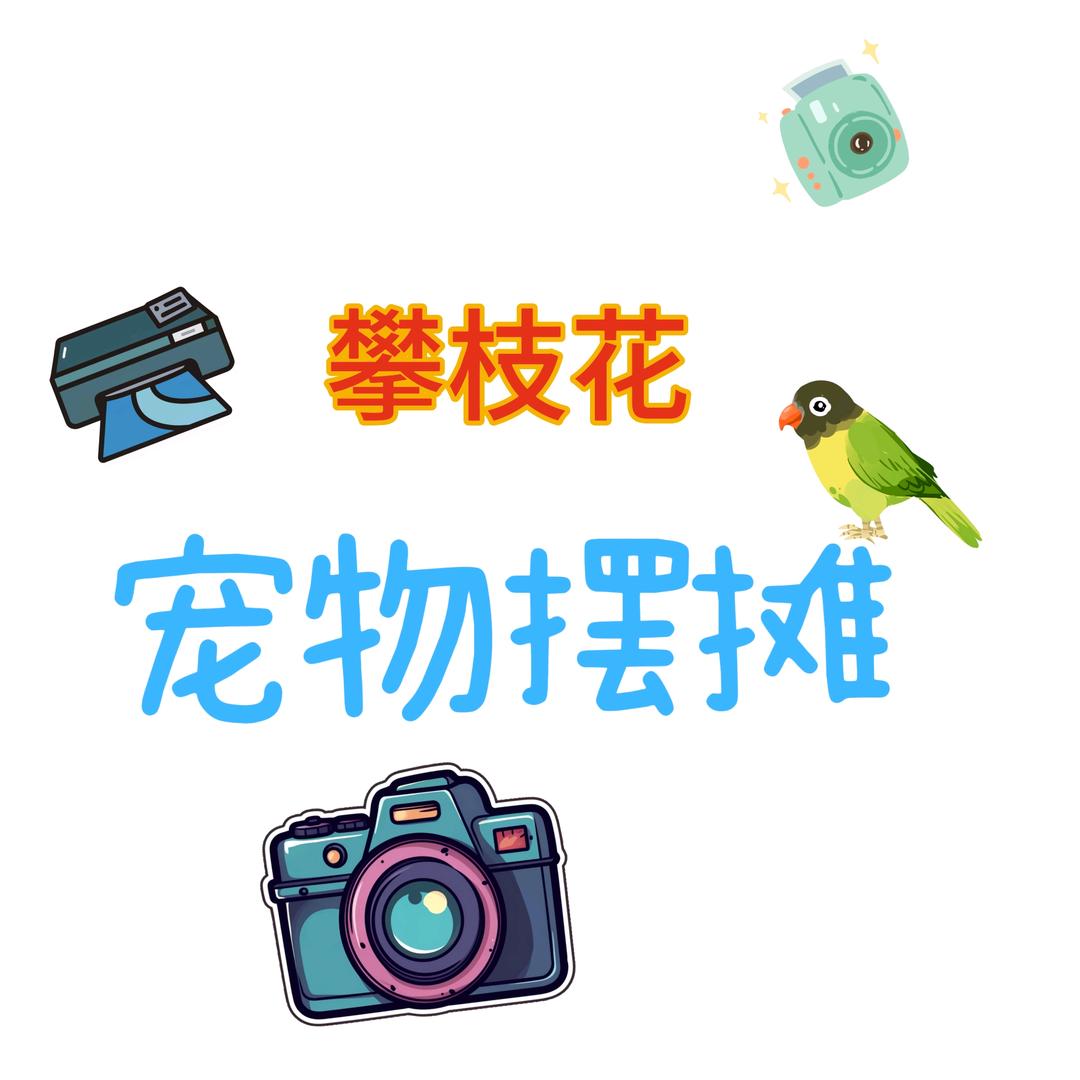 陈油条宠物小摊