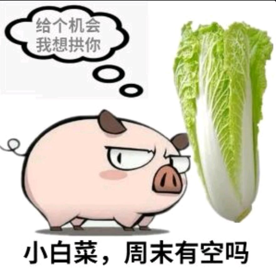 肥仔