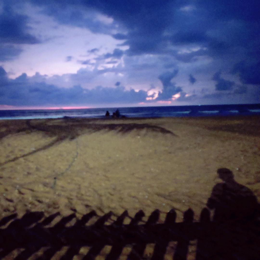 大脸猫把土豆种在树上😡