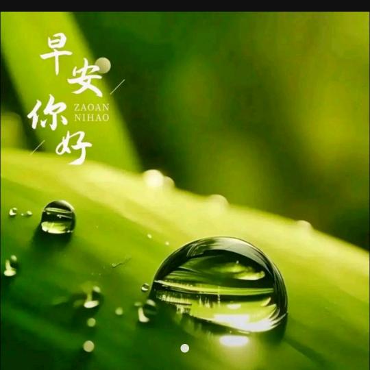 雨露