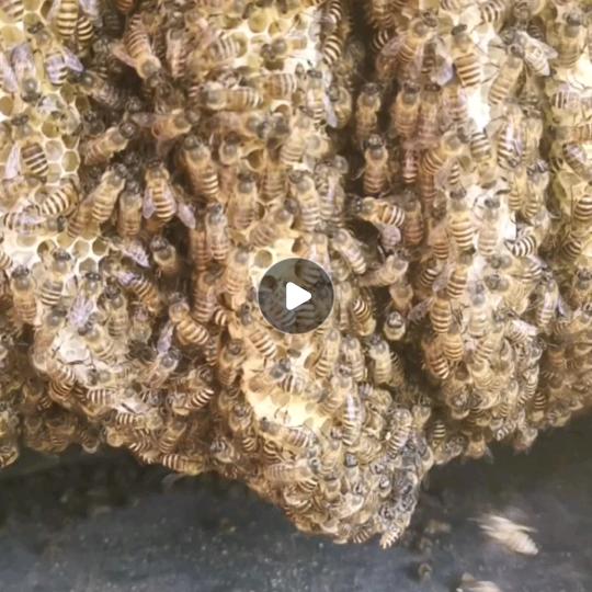 好好珍爱自己。