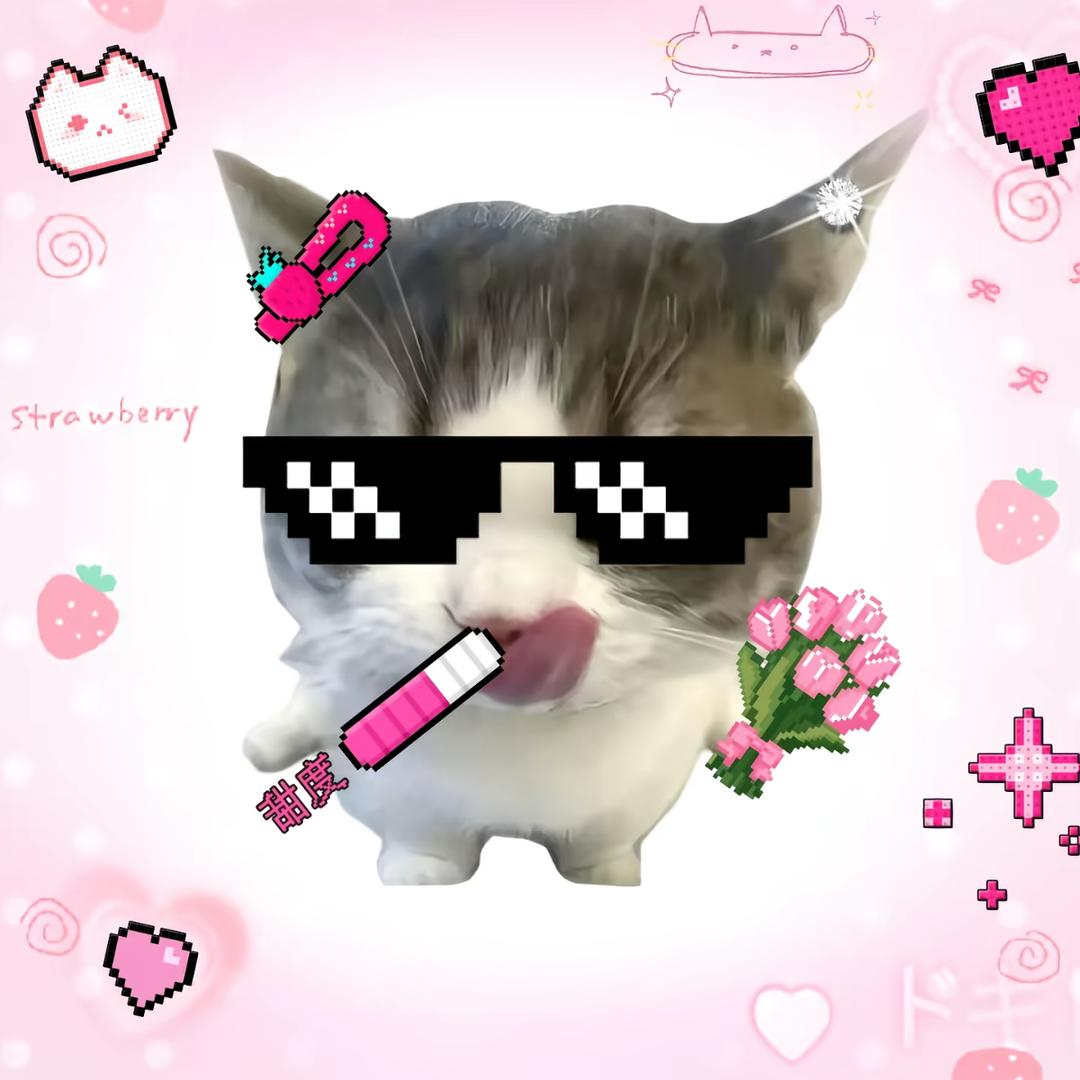 Xy