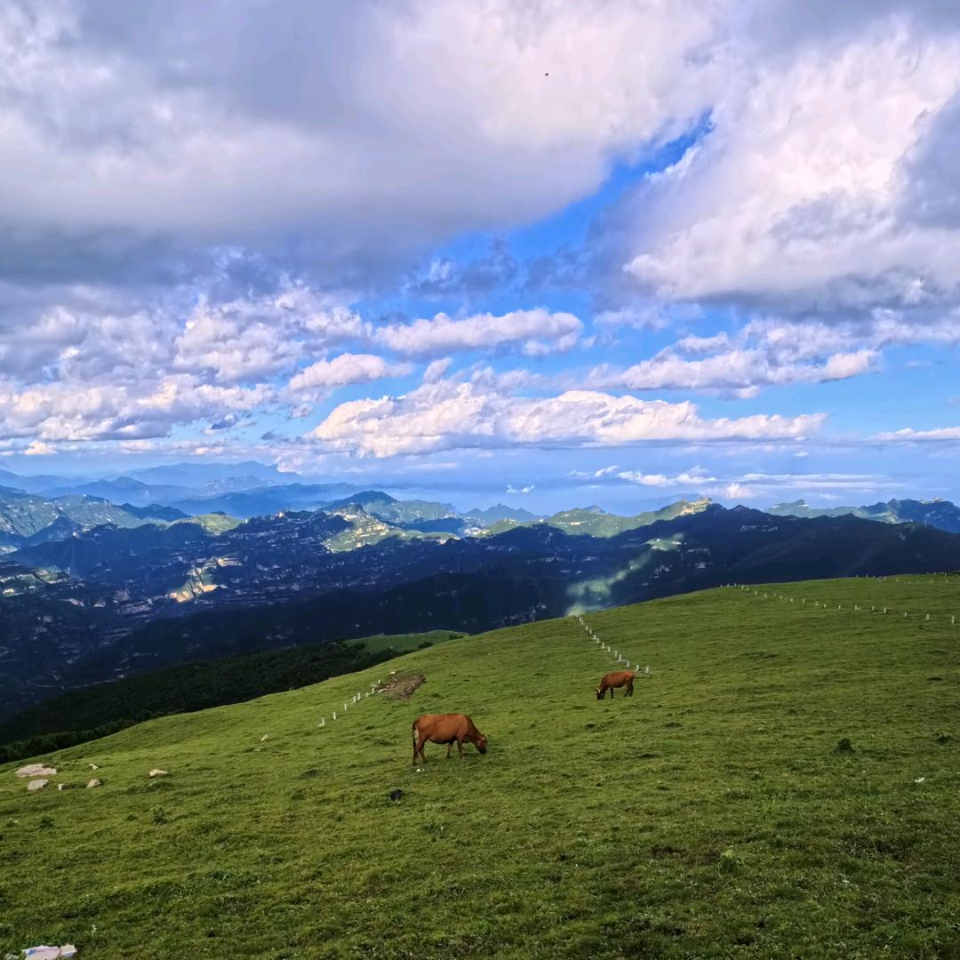 安国繁润中药材