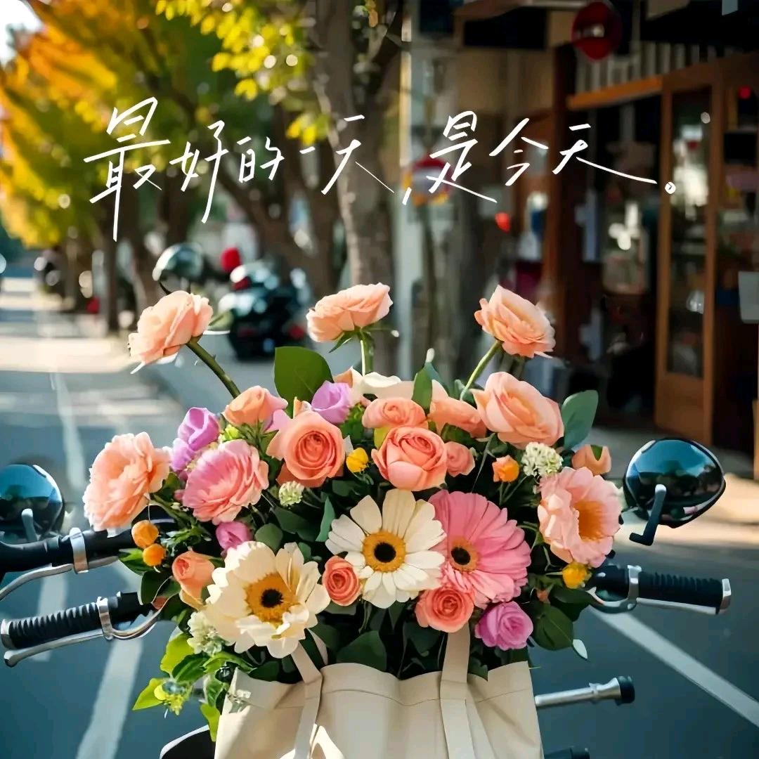 暖🌻🌻🌻阳