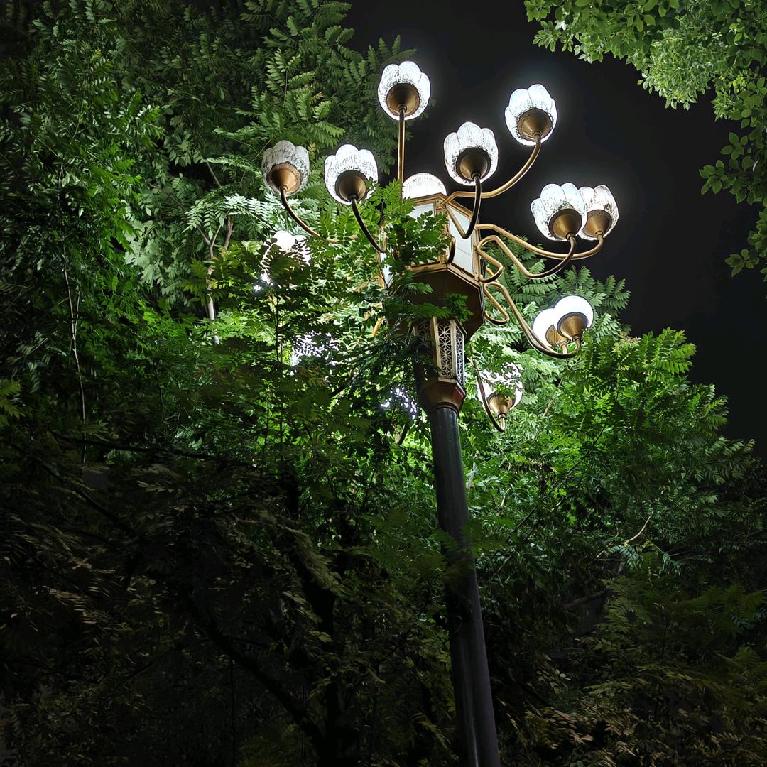 云帆一叶（封心低消）