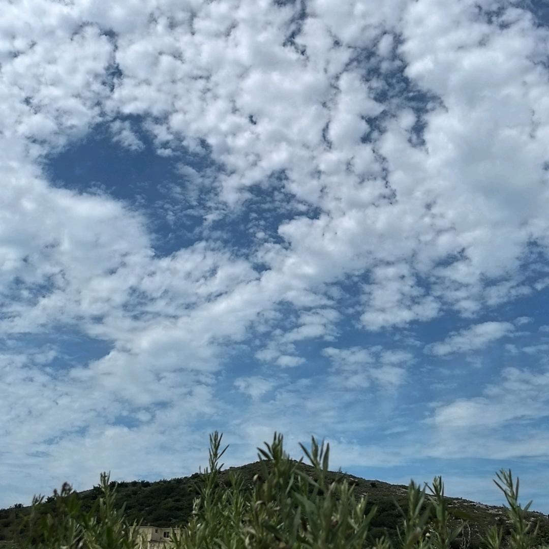 赫傲（活参现捞现煮）