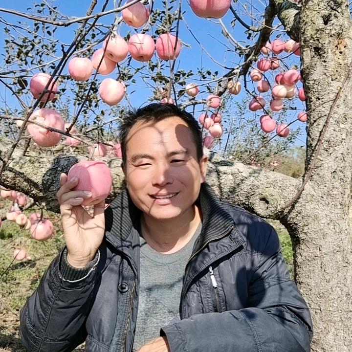 产地直销，烟台富士苹果。