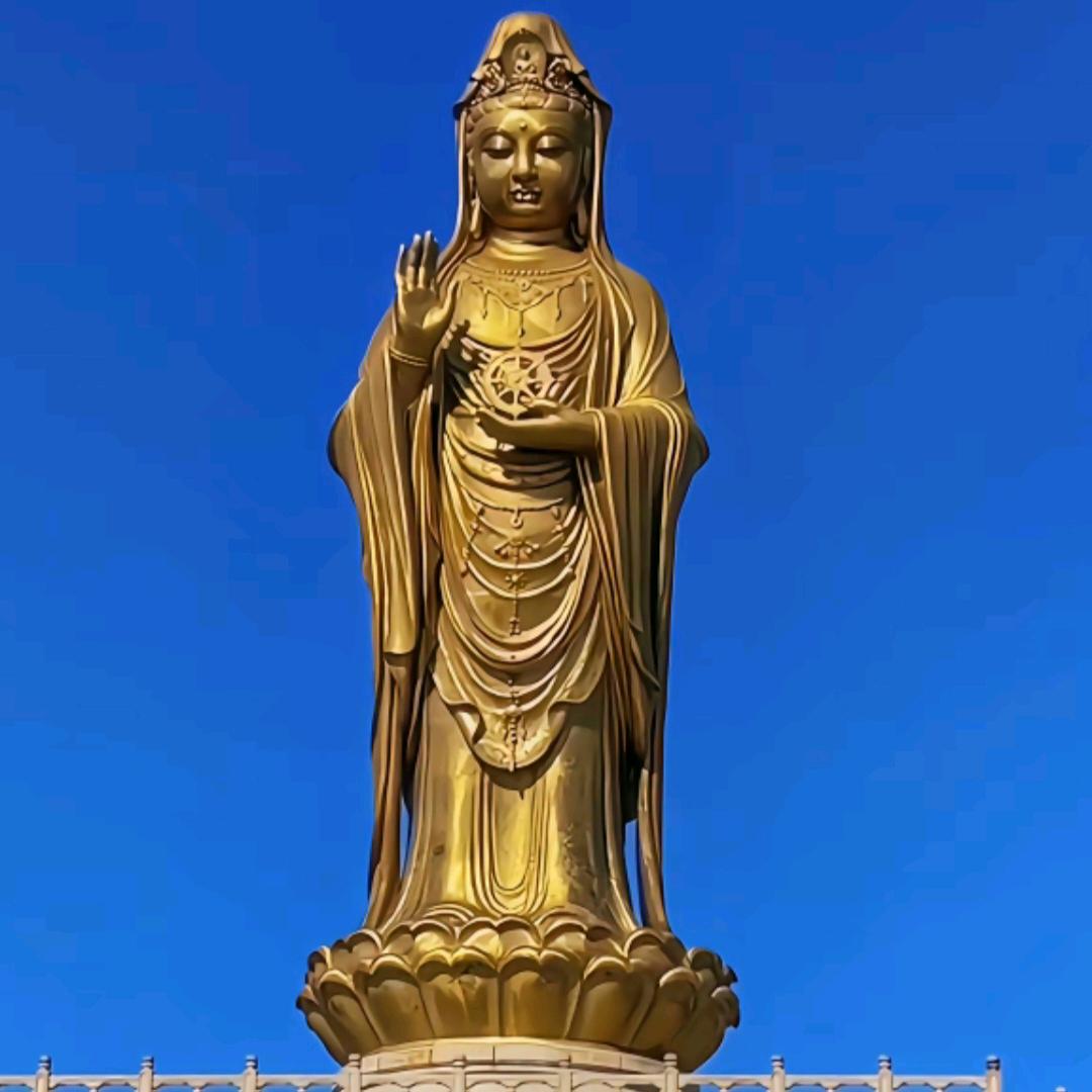 凡间1朵莲