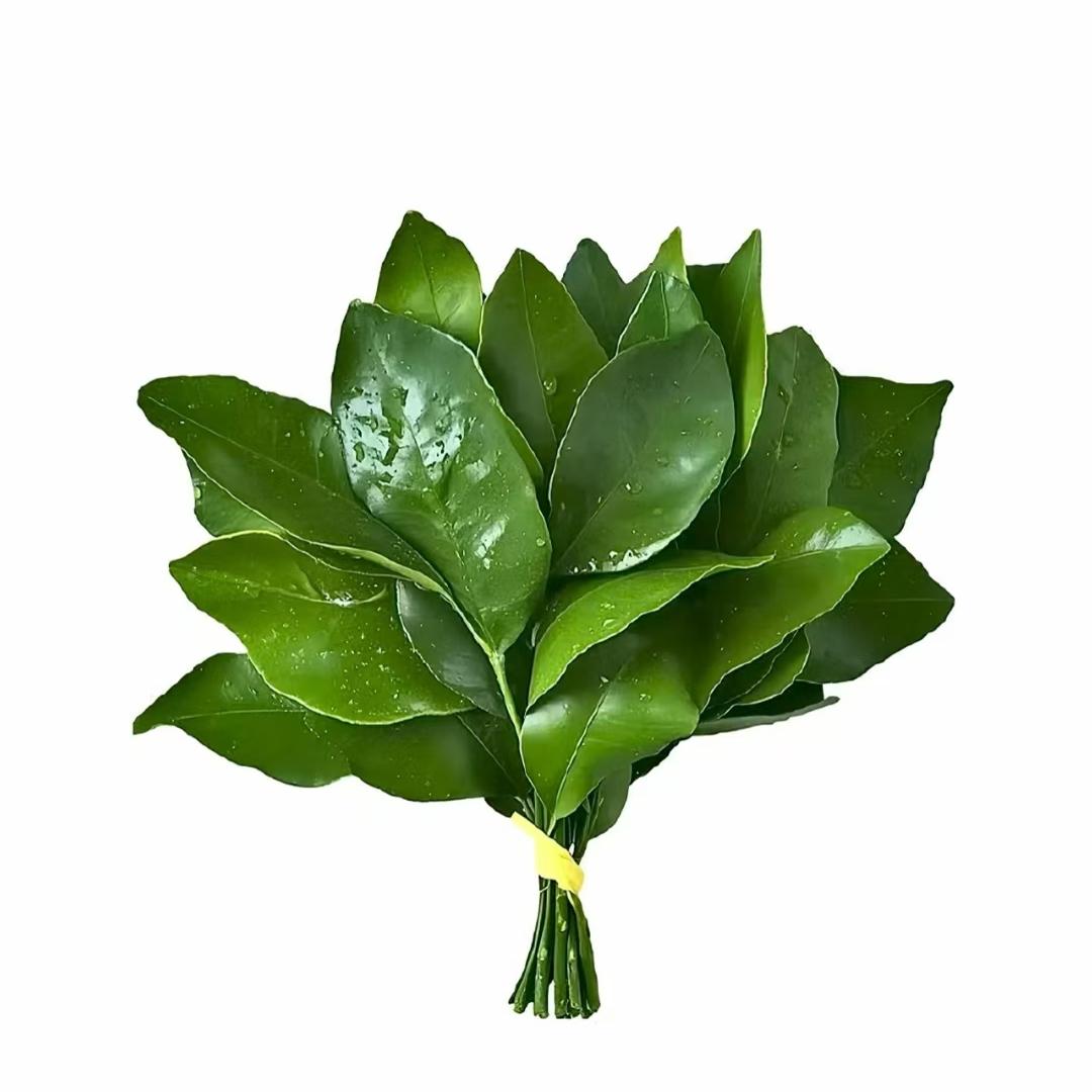 张吧啦