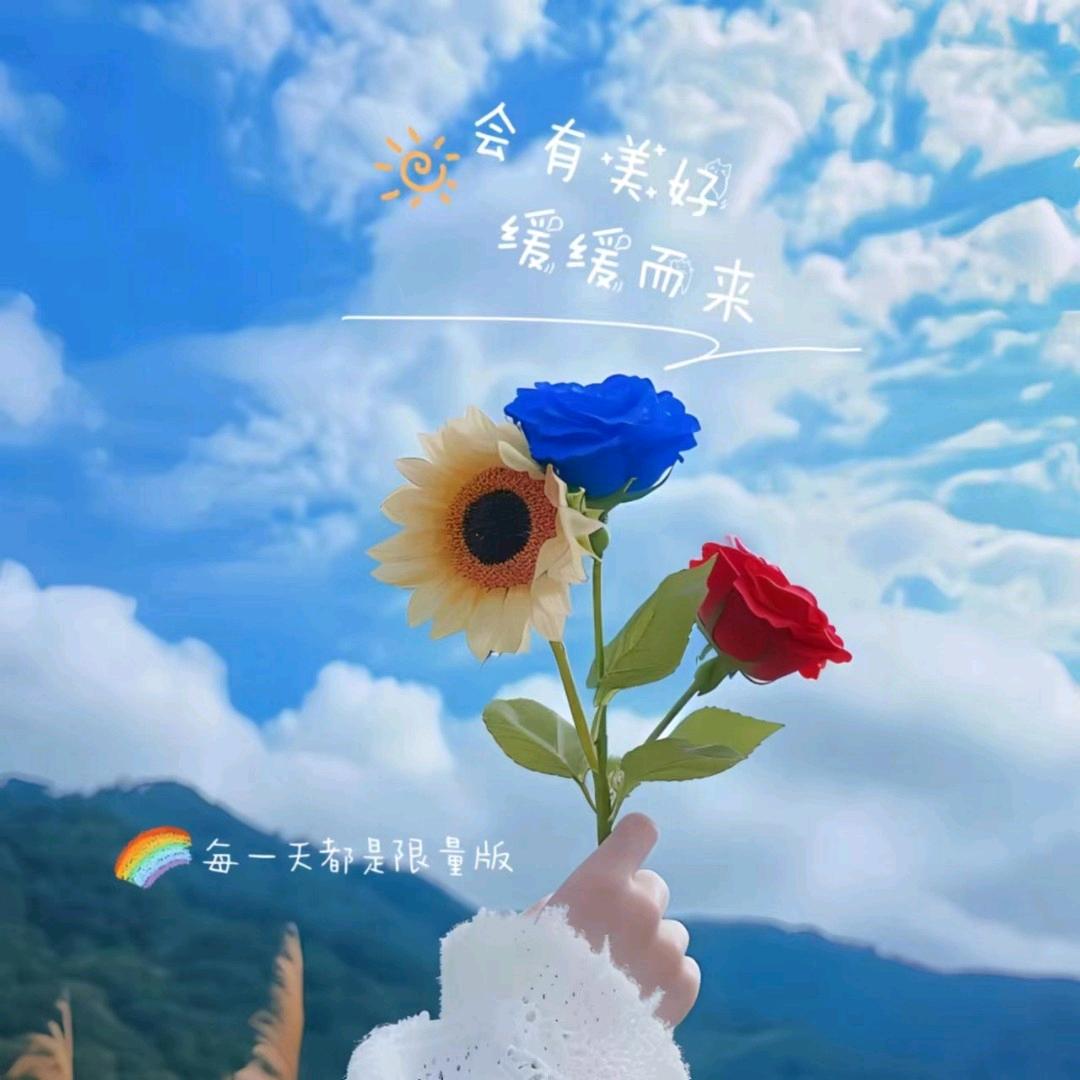 @云淡风轻
