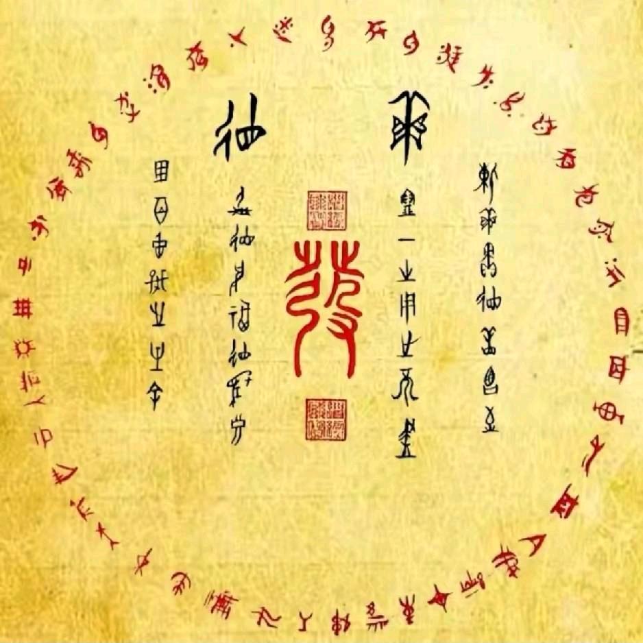 新蔡交个朋友透明装