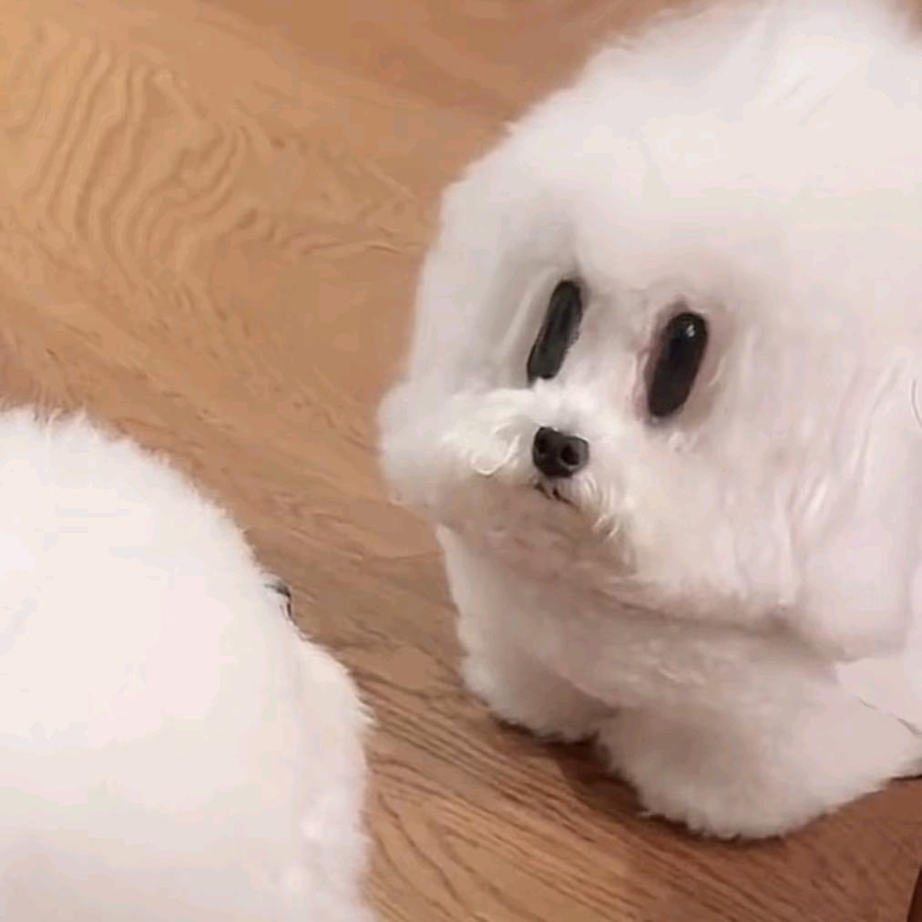 浅蓝