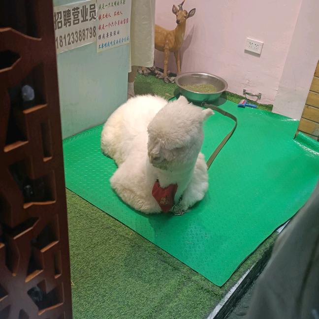 嘂嚻