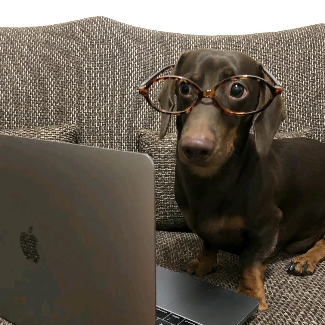 脊地脊柱养护中心