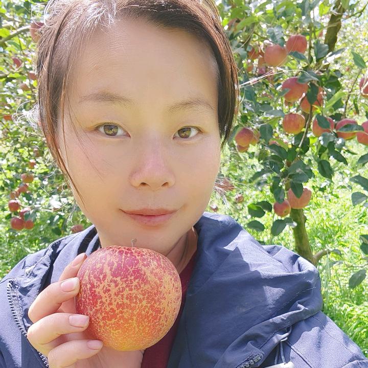 丹丹家的果园