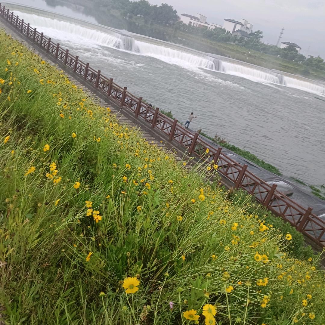 梦想好物