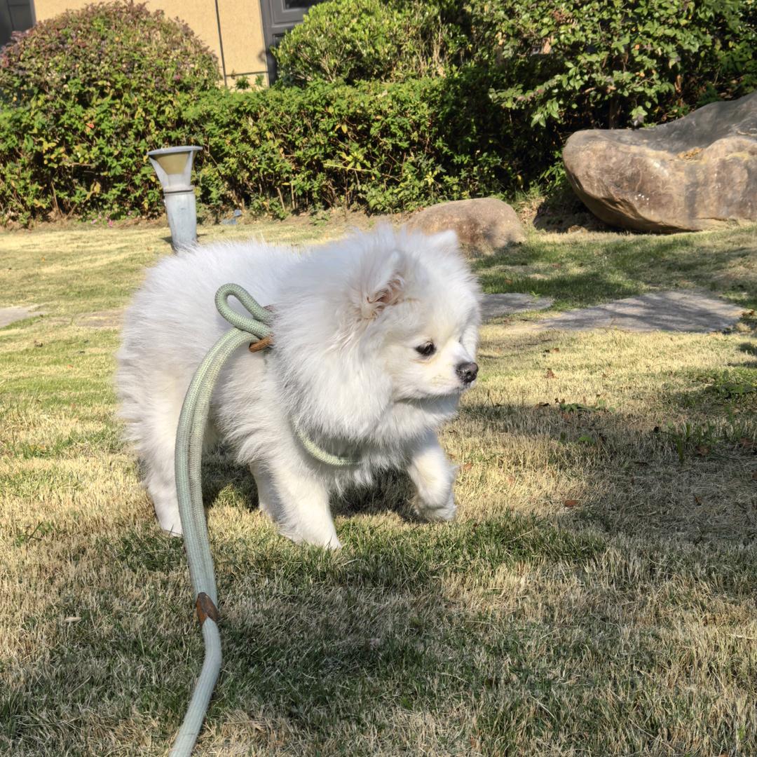 前面是谁偷懒？！