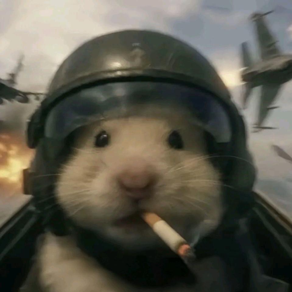 猫零落