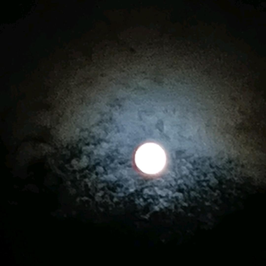 顺其自然