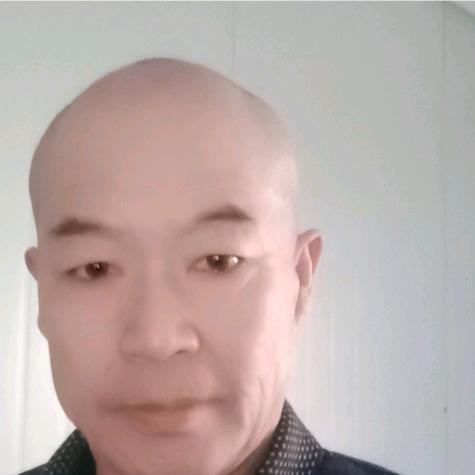 忍瞻琴心