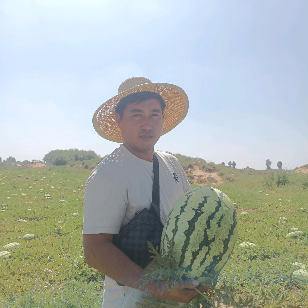 A西瓜哥庆光诚信瓜果