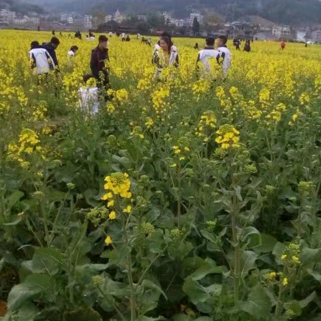 脚踏实地