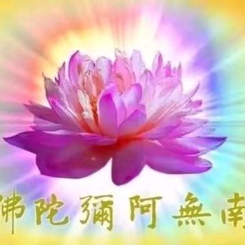 难得糊涂，妙法尘头像