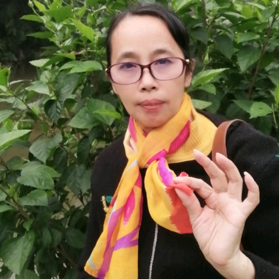 任我飞518
