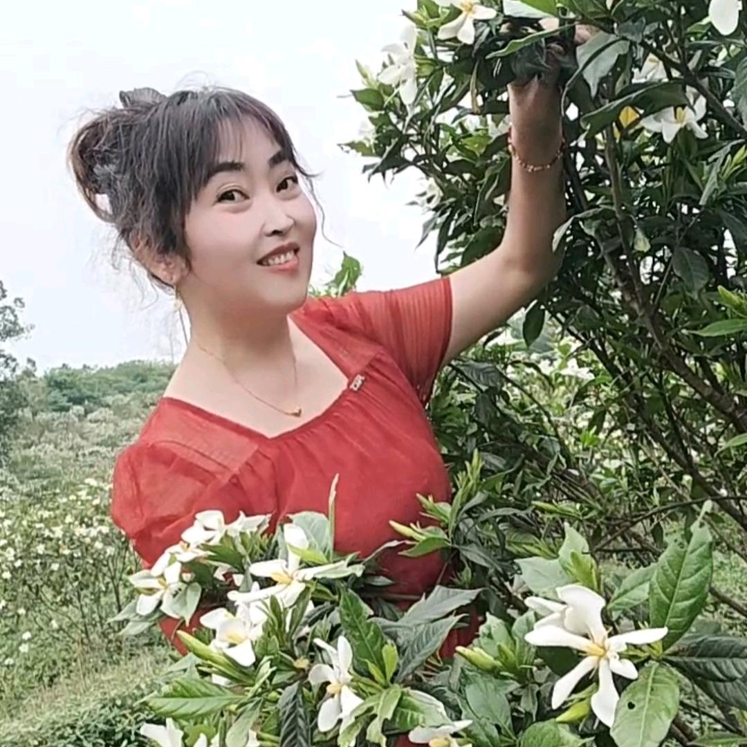 美丽梦想